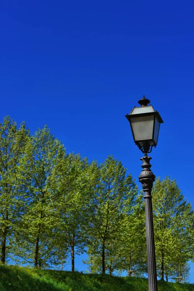 Уличный фонарь с деревьями — стоковое фото