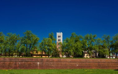 Lucca antik duvarlar ile katedral çan kulesi