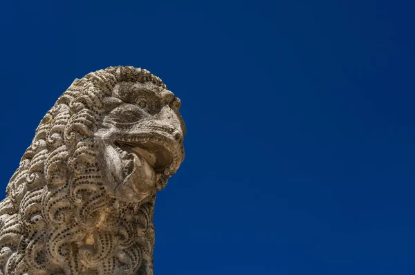 Lucca vahşi aslan kafasından — Stok fotoğraf