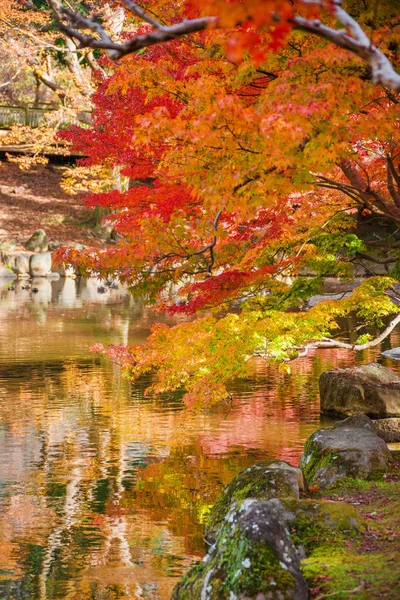 Herbstfarben in japan — Stockfoto