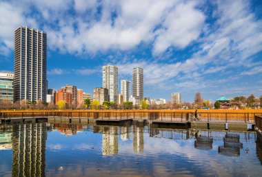 Shinobazu Göleti Kış Manzarası