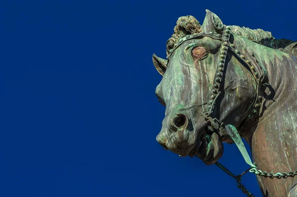 Cabeça de cavalo de bronze — Fotografia de Stock