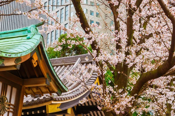 Primavera en Tokio Hie Jinja — Foto de Stock