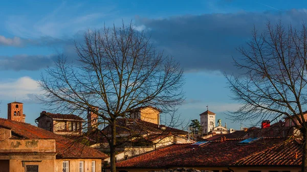 Vista Invierno Lucca Hermoso Centro Histórico Con Torres Medievales Campanario — Foto de Stock