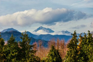 Dağlar, ağaçlar ve bulutlar. Apennine Görünümü