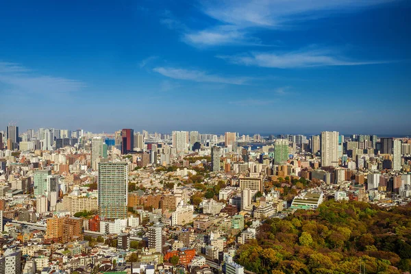 2019年4月5日 日本东京 Minato Ku与Meguro Shinagawa Shiba Odaiba地区和东京湾的天际线景观 — 图库照片