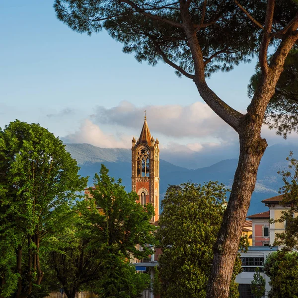 Zona San Concordio Con Característico Campanario Neogótico Distrito Sur Lucca — Foto de Stock