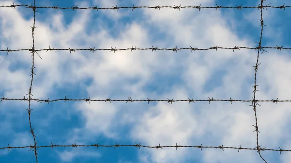 Concepto Encarcelado Hilos Alambre Púas Con Cielo Azul Nubes Blancas — Foto de Stock