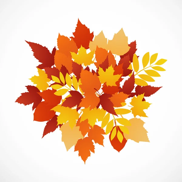 Sonbahar yaprakları yazıt ile farklı renkteki kökenli