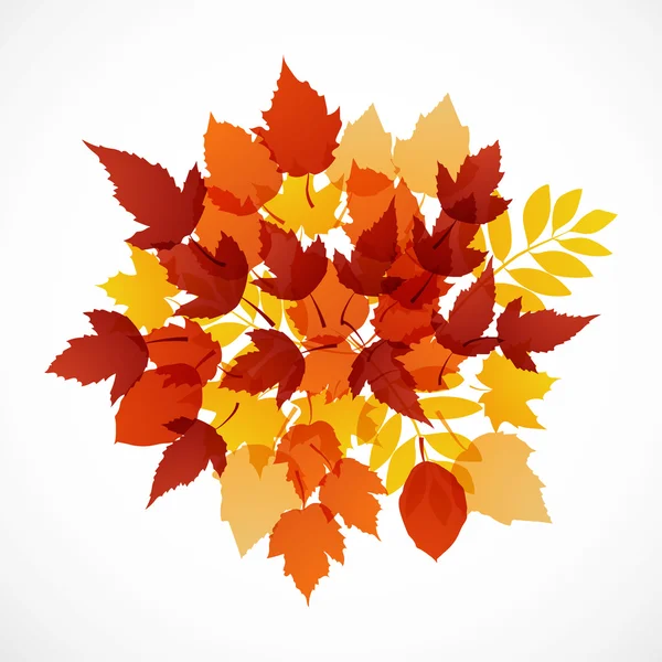 Sonbahar yaprakları yazıt ile farklı renkteki kökenli