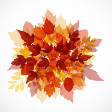 Sonbahar yaprakları yazıt ile farklı renkteki kökenli