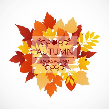 Sonbahar yaprakları yazıt ile farklı renkteki kökenli