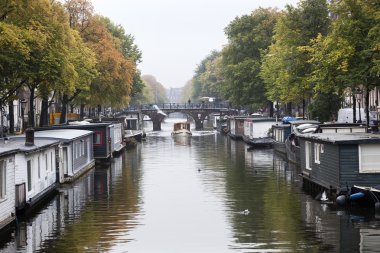 Amsterdam kanalları içinde yüzen