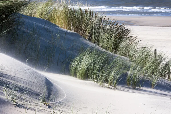 Dunas ventosas e o mar no fundo — Fotografia de Stock