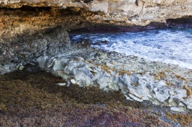 Bay Curacao doğum