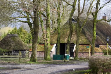 Tarihi Orvelte grupta ile sokak