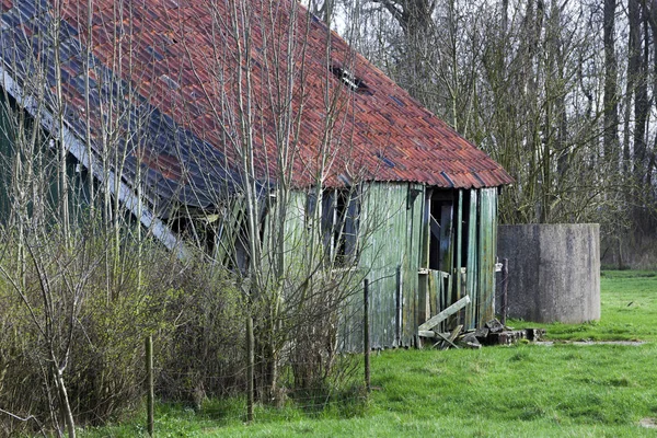 Ancienne grange en bois vert — Photo