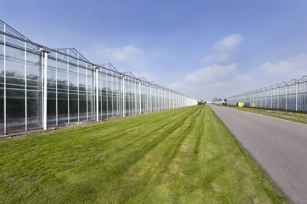 Greenhouses and an asphalt road — Stock Photo, Image