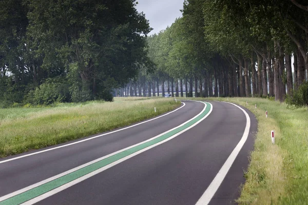 Motorway with green line in the Netherlands — Stock Photo, Image