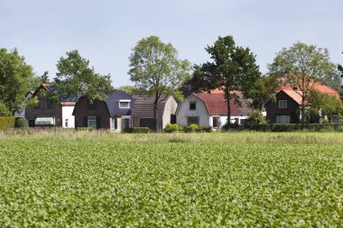 Hollanda rahat köy evleri