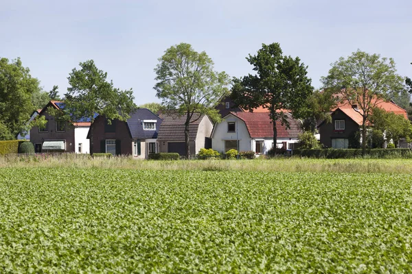 Cozy village houses in the Netherlands — Stock Photo, Image