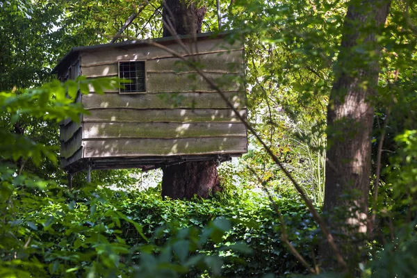 Treehouse i skogen — Stockfoto