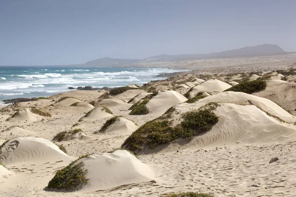 Dunas de areia paisagem com o Oceano Atlântico no fundo o — Fotografia de Stock