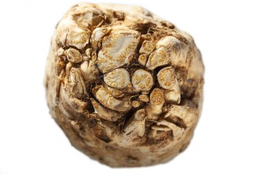 İzole edilmiş çiğ sebze kökü kereviz.