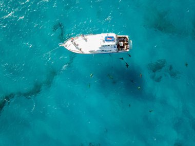 Bahamalar 'daki köpekbalıklarının insansız hava aracı görüntüsü