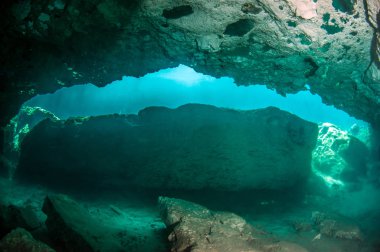 Scuba diving in the Casa Cenote, Tulum, Mexico