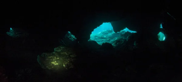 Plongée sous-marine dans la Casa Cenote, Tulum, Mexique — Photo