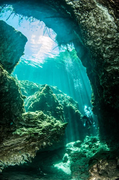 Scuba diving in the Casa Cenote, Tulum, Mexico — 스톡 사진