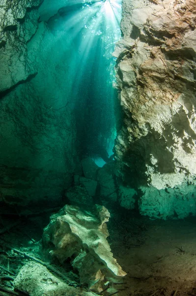 Scuba diving in the Casa Cenote, Tulum, Mexico — Stock Photo, Image