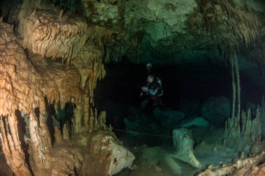 Scuba diving hipotermik Dreamgate, Meksika