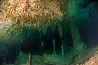 Scuba diving hipotermik Dreamgate, Meksika