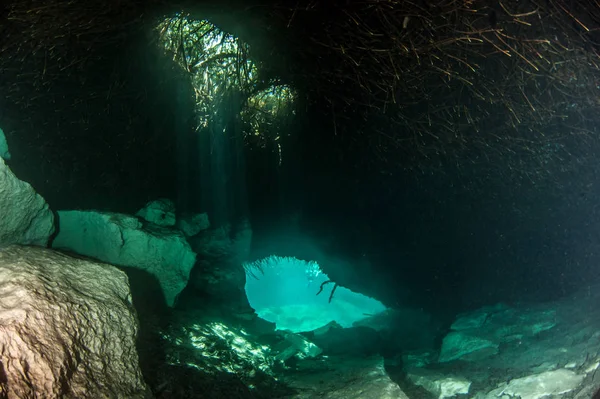 Immersioni nella Casa Cenote, Tulum, Messico — Foto Stock