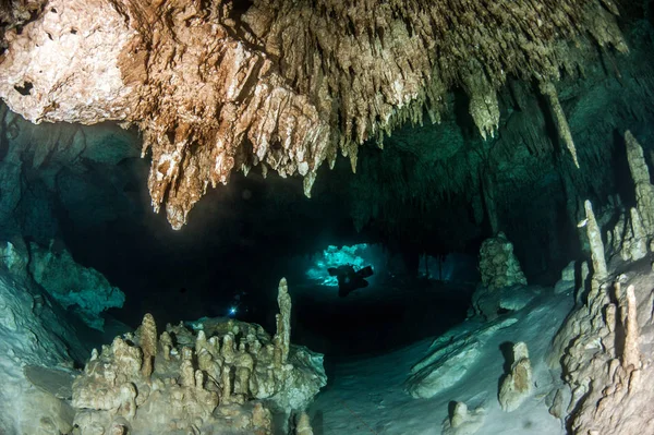 Scuba Diving Cenote Dreamgate Mexico — Stock Photo, Image