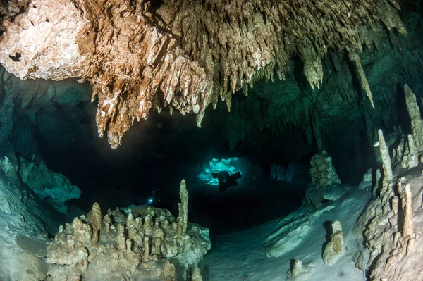 Nurkowanie Cenote Gry Dreamgate Meksyk — Zdjęcie stockowe