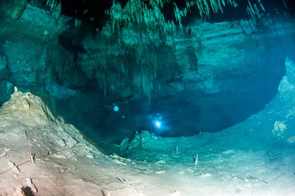 Immersioni Nel Cenote Dreamgate Messico — Foto Stock