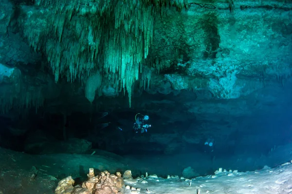 Дайвинг Cenote Dreamgate Мексика — стоковое фото