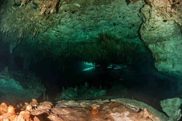 墨西哥阿尔马登 Dreamgate 的水肺潜水 — 图库照片
