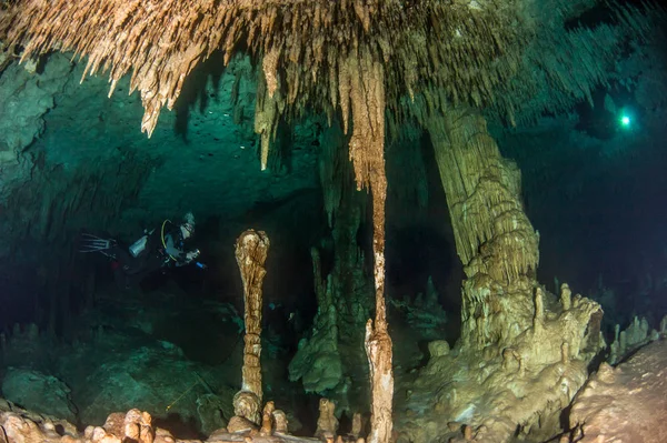 Nurkowanie Cenote Gry Dreamgate Meksyk — Zdjęcie stockowe