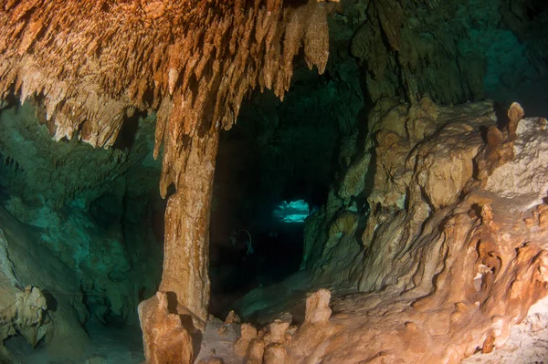 Nurkowanie Cenote Gry Dreamgate Meksyk — Zdjęcie stockowe