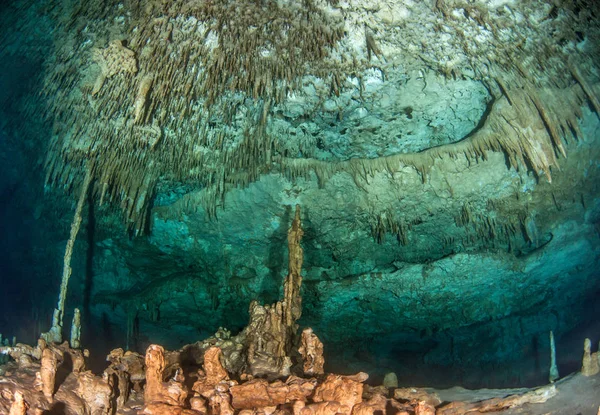 Nurkowanie Cenote Gry Dreamgate Meksyk — Zdjęcie stockowe