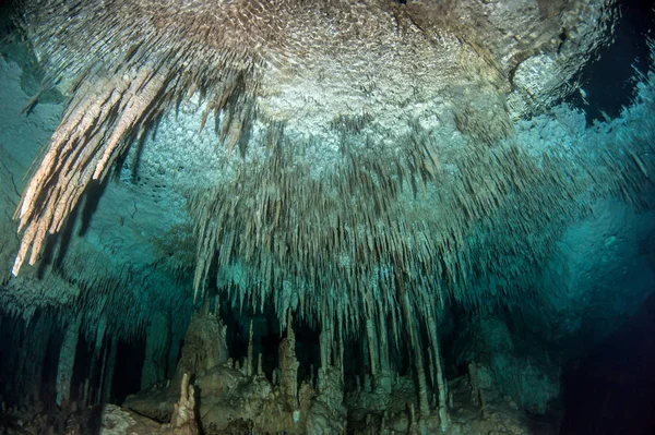 Nurkowanie Cenote Gry Dreamgate Meksyk — Zdjęcie stockowe