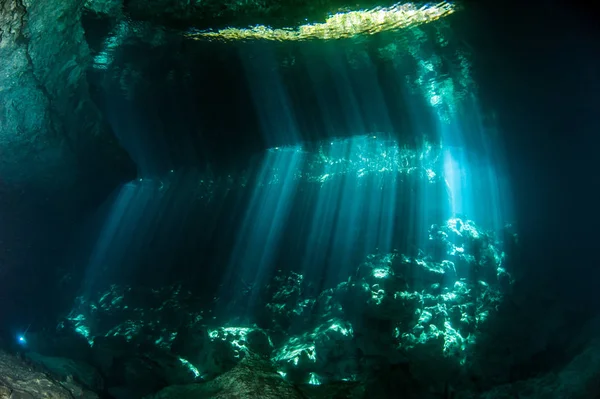 Scuba diving at the Cenote Jardin del Eden in Mexico — Stock Photo, Image
