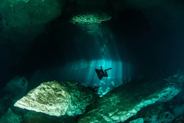 Potápění v Cenote Jardin del Eden v Mexiku — Stock fotografie