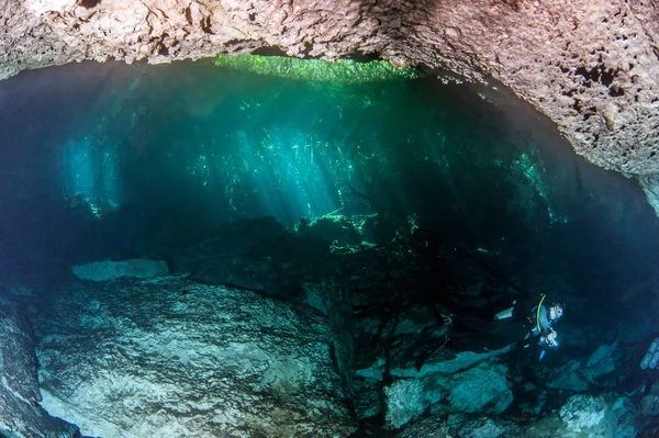 Scuba diving at the Cenote Jardin del Eden in Mexico — Stock Photo, Image