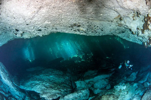 Plongée sous-marine au Cenote Jardin del Eden au Mexique — Photo