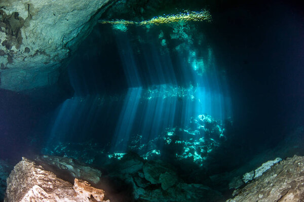 Scuba diving at the Cenote Jardin del Eden in Mexico